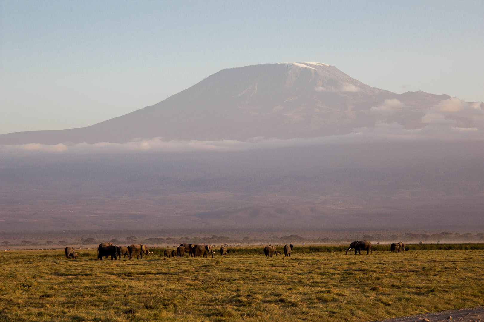 Monte Kilimanjaro, Amboseli, Kenia