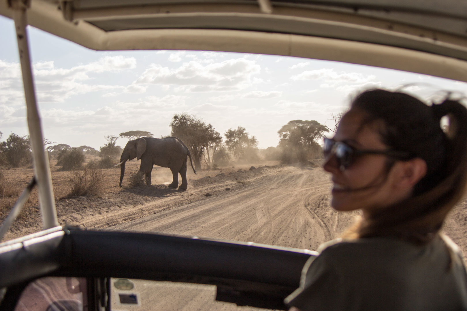 Elefante cruzando el camino, Parque Nacional de Amboseli, Kenia