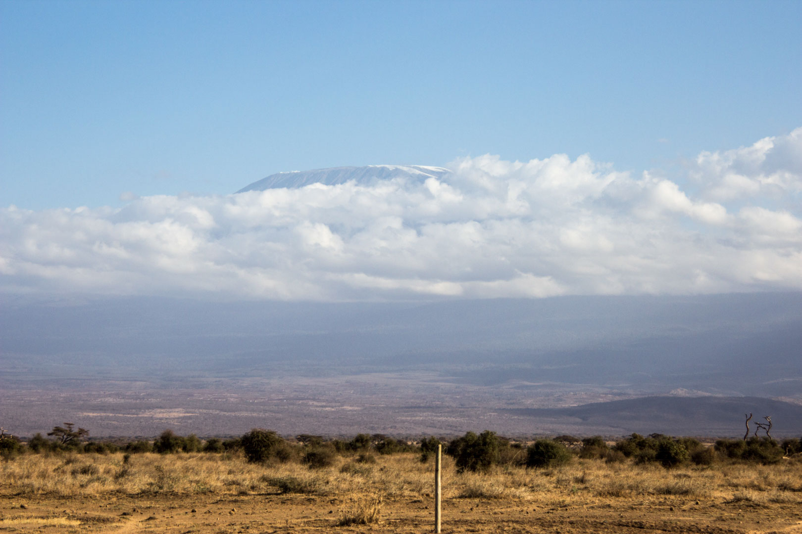 Monte Kilimanjaro, Parque Nacional de Amboseli, Kenia