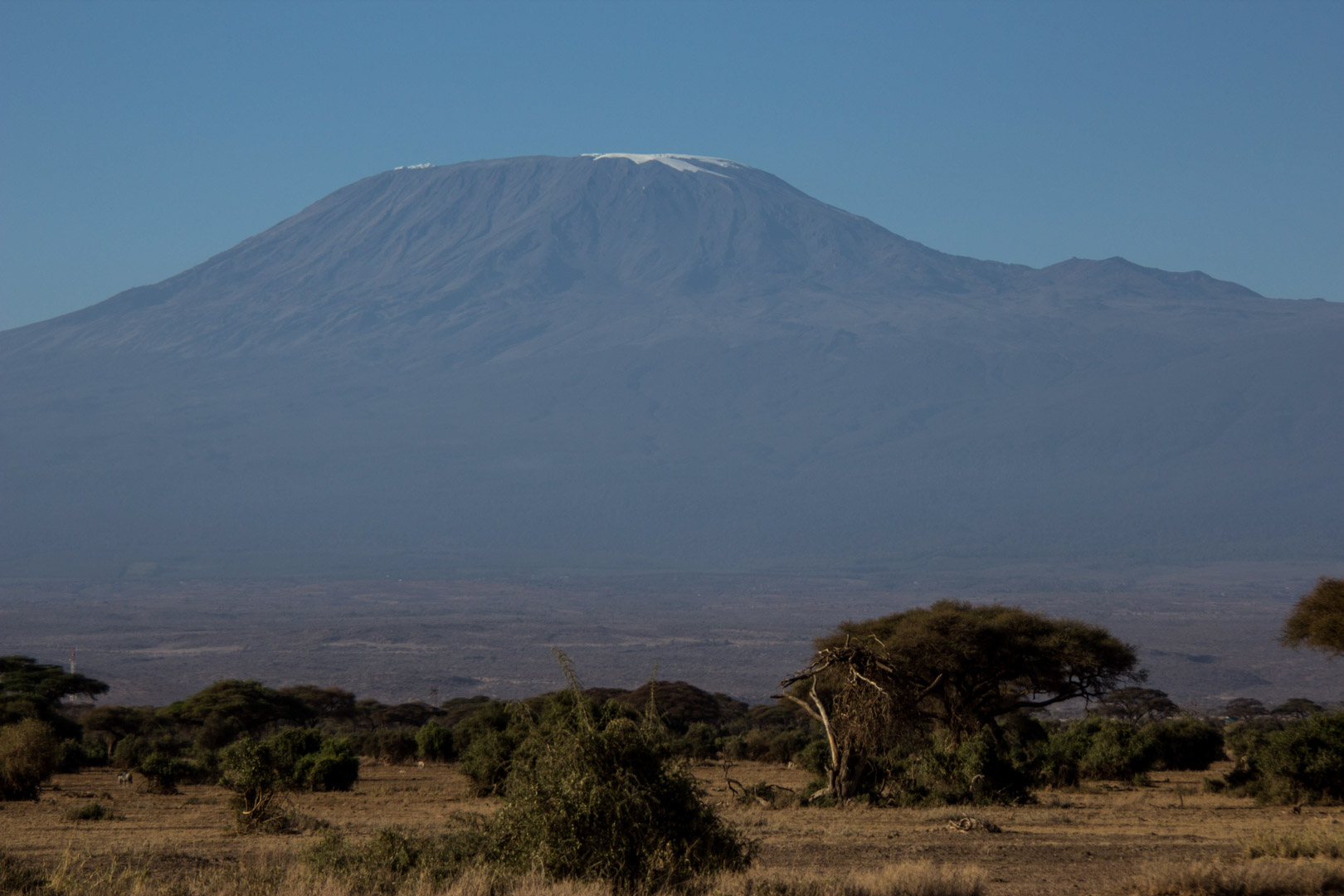Monte Kilimanjaro, Amboseli, Kenia