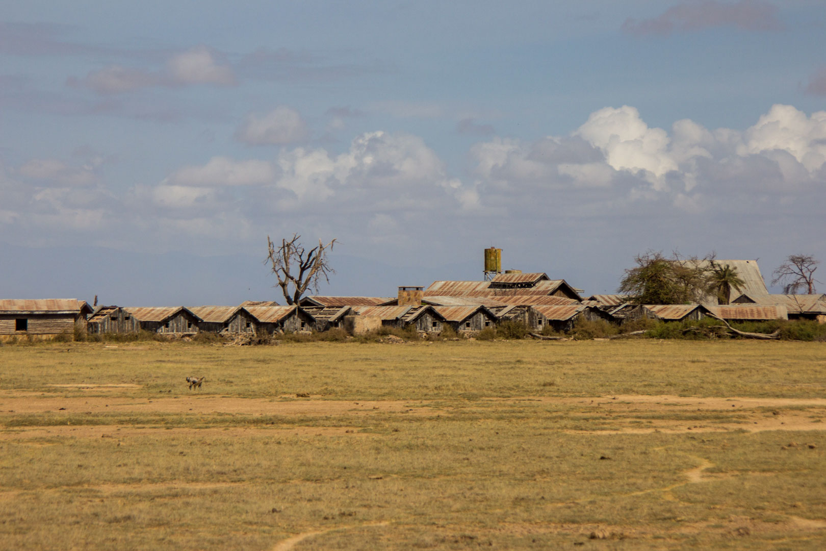 Hotel abandonado, Amboseli, Kenia