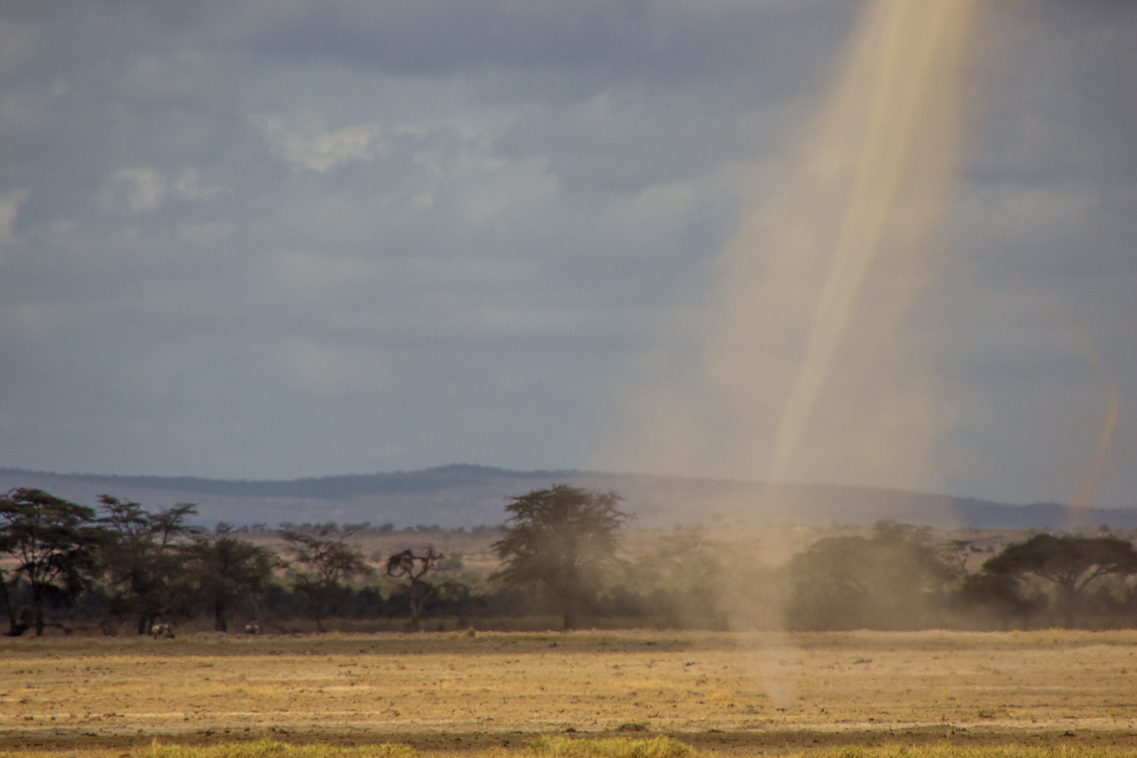 Tornado de arena en Parque Nacional de Amboseli, Kenia