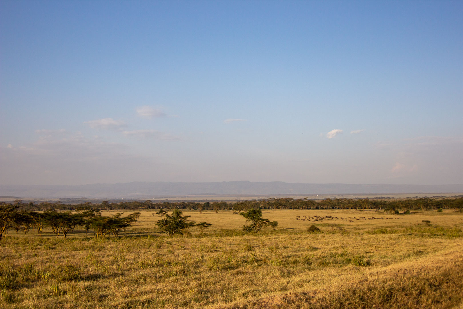 Parque Nacional Lago Nakuru, Kenia