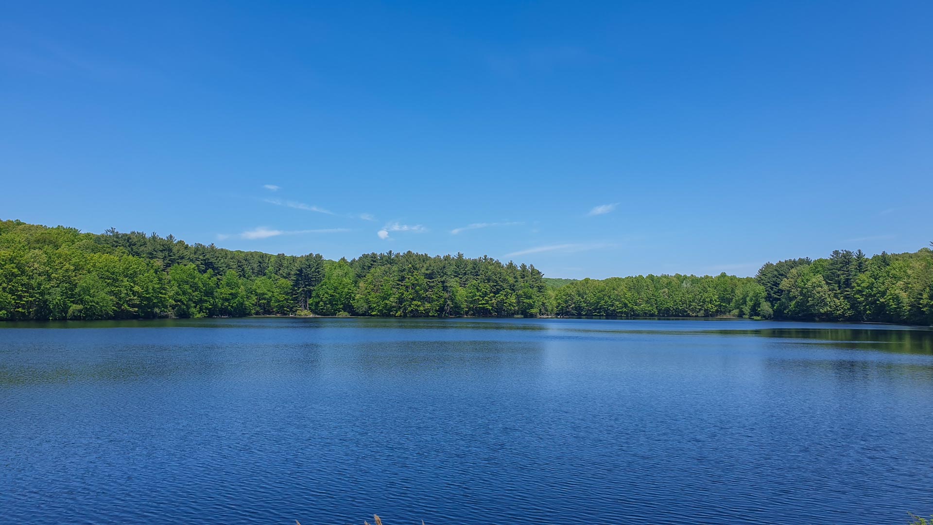 Lake Wintergreen en West Rock State Park, New Haven, Connecticut