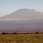 Kilimanjaro, Amboseli, Kenia