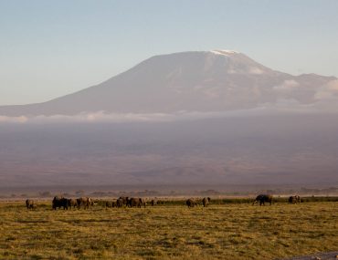 Kilimanjaro, Amboseli, Kenia