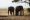 Elefantes, Parque Nacional de Amboseli, Kenia