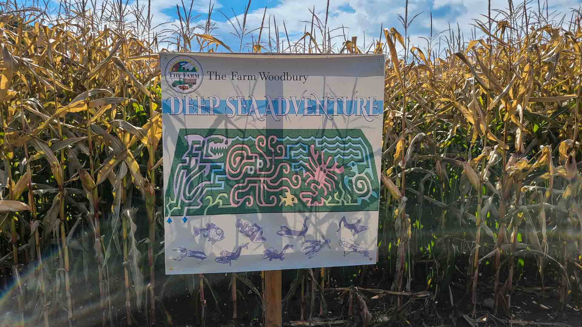 Mapa del laberinto de maíz en The Farm, Woodbury, Connecticut